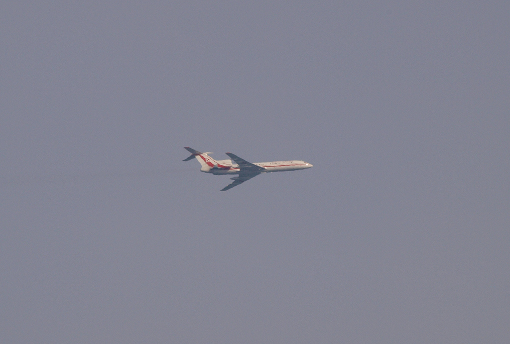 PA264652.jpg