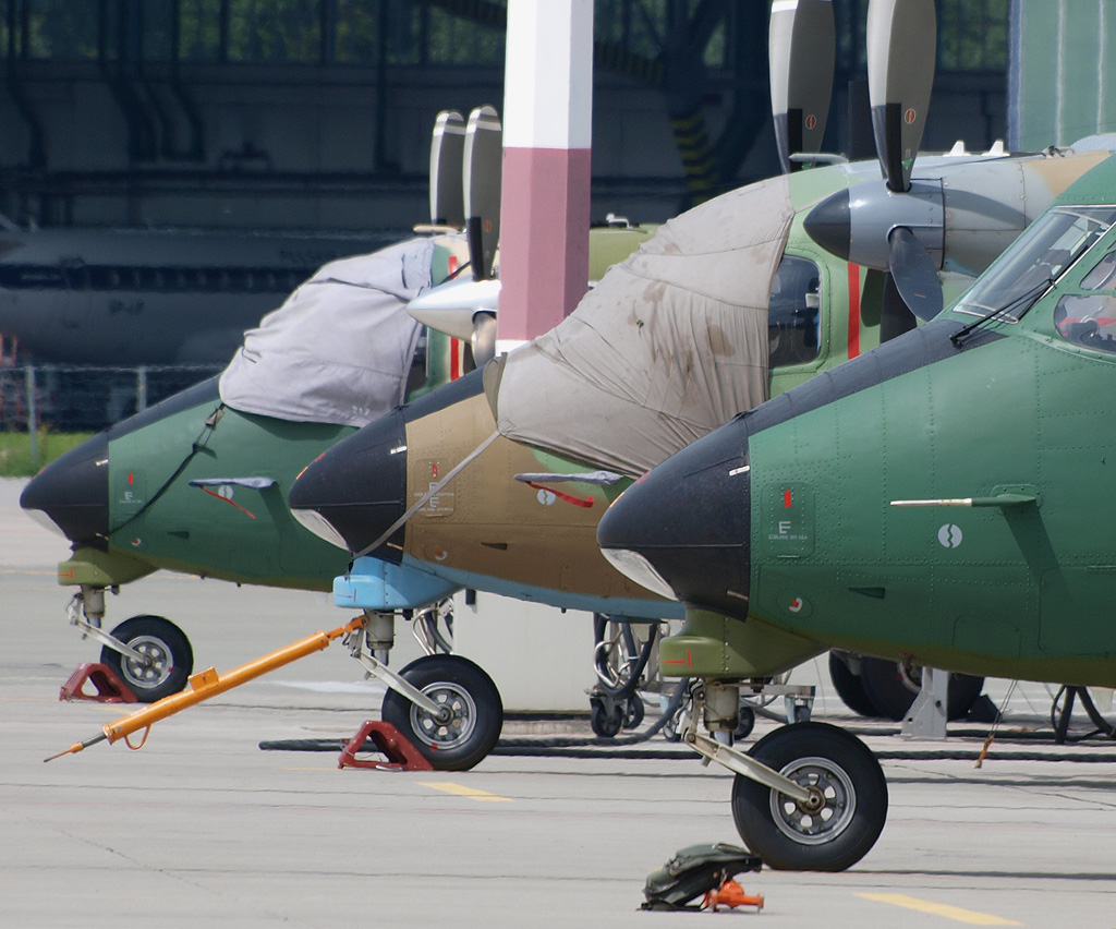 P7272746.jpg