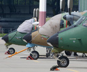 P7272746.jpg