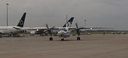 P7306520.jpg