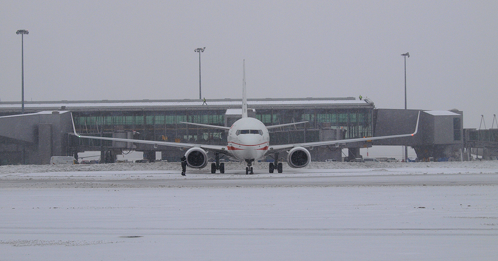 P1174601.jpg