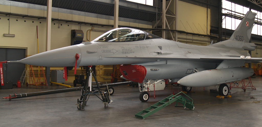 P3135466.jpg