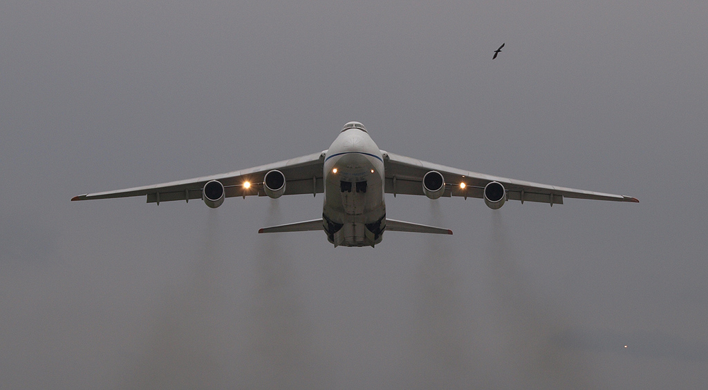 PA250911.jpg