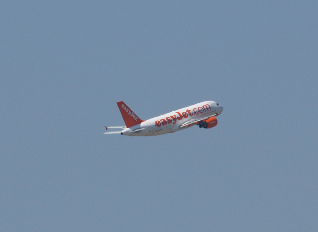 P6260546.jpg