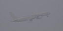 PA119948.jpg