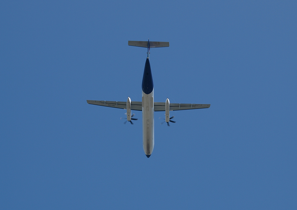 P7144852.jpg