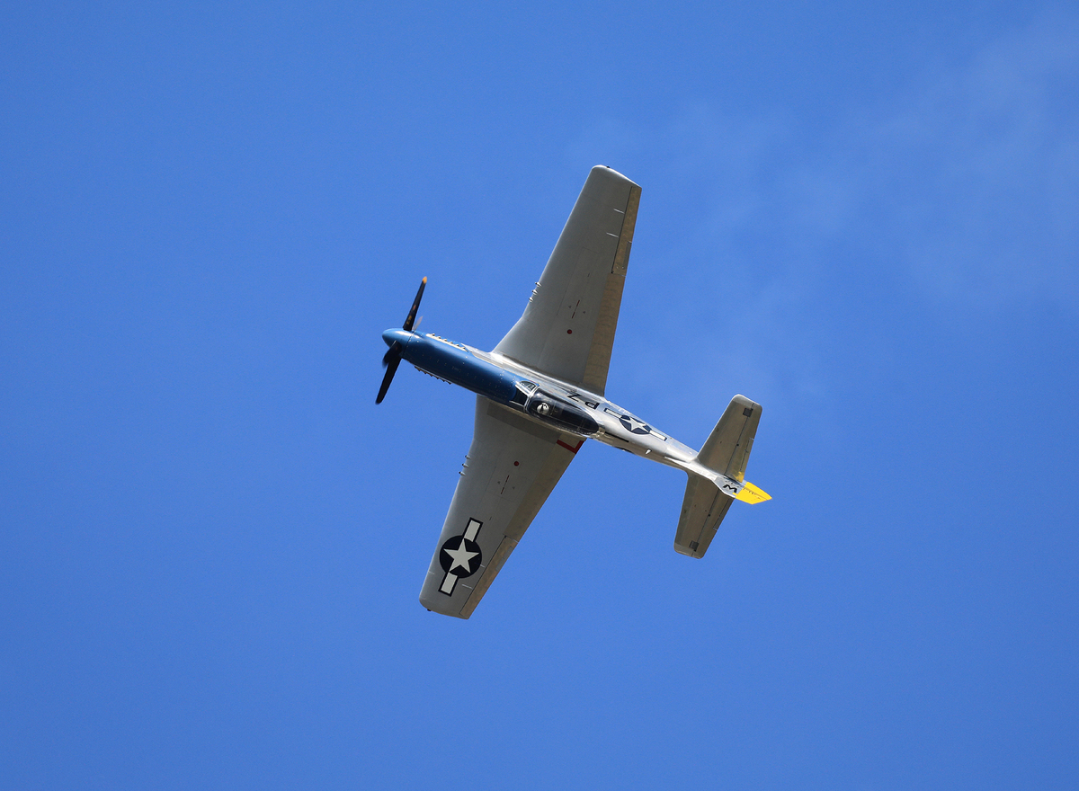JACL5206.jpg