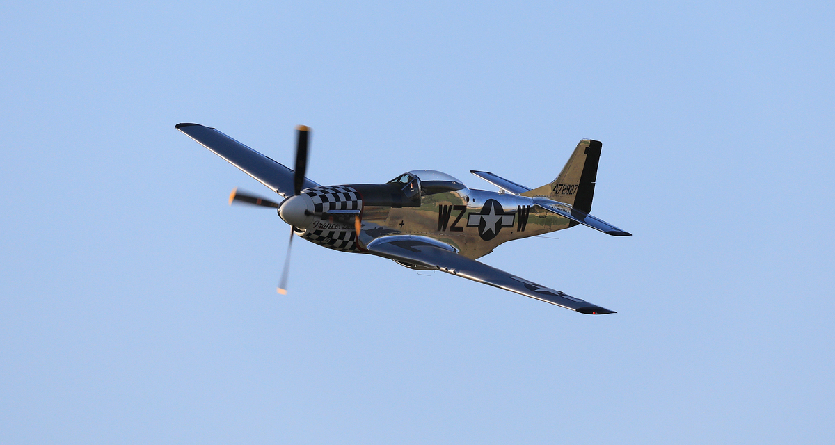 JACL5576.jpg