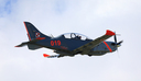 JACL3737.jpg