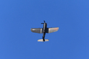 JACL3866.jpg