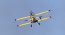 JACL4363.jpg