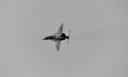 JACL4959.jpg