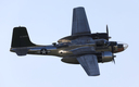 JACL5325.jpg