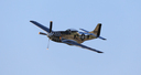 JACL5576.jpg