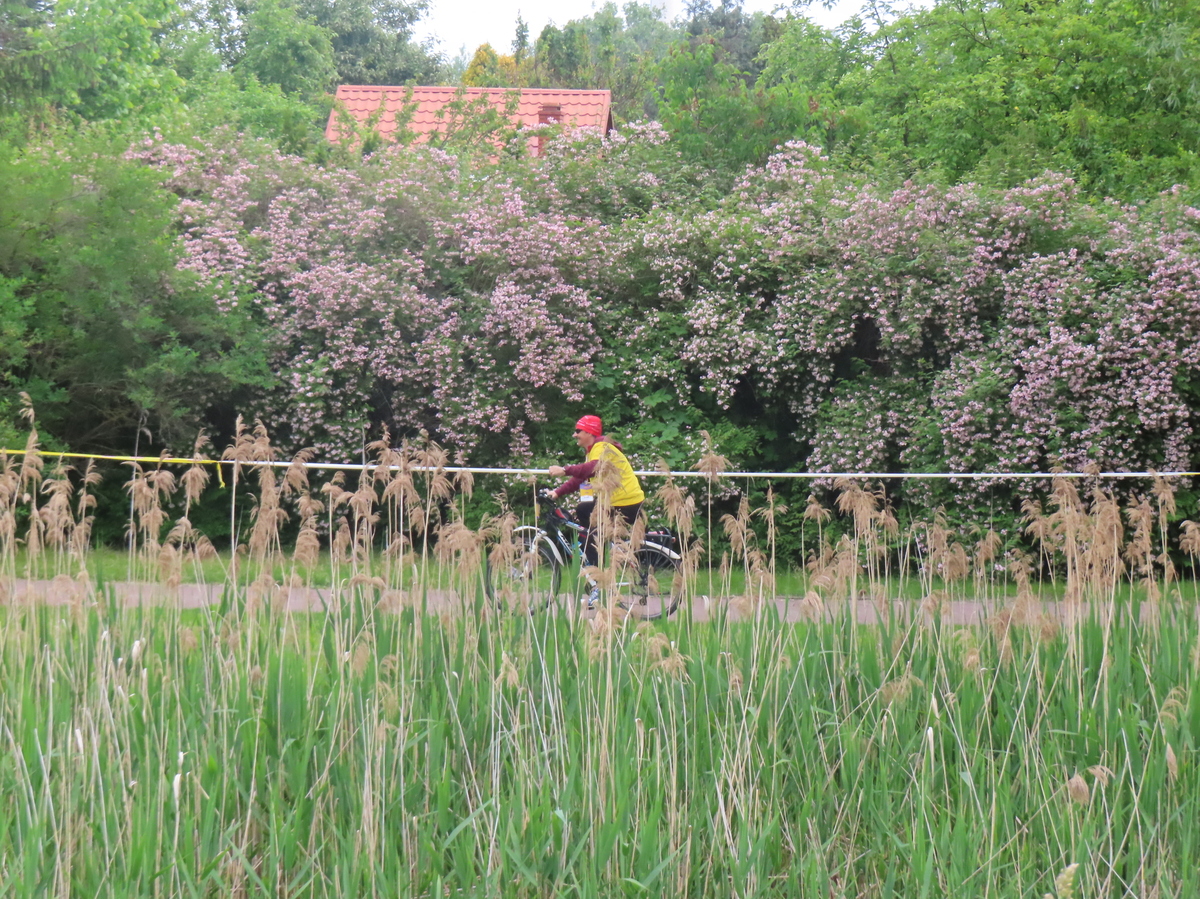 IMG_2639.JPG