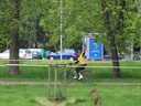 IMG_2636.JPG