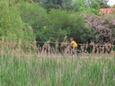 IMG_2640.JPG