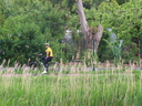 IMG_2663.JPG