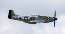 JACL2796.jpg