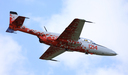 JACL2832.jpg