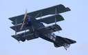 JACL2881.jpg