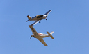 JACL4676.jpg