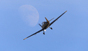 JACL5350.jpg