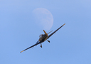 JACL5351.jpg
