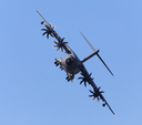 JACL6449.jpg
