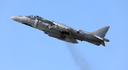 JACL8087.jpg