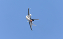 JACL8738.jpg