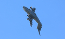 JACL8992.jpg
