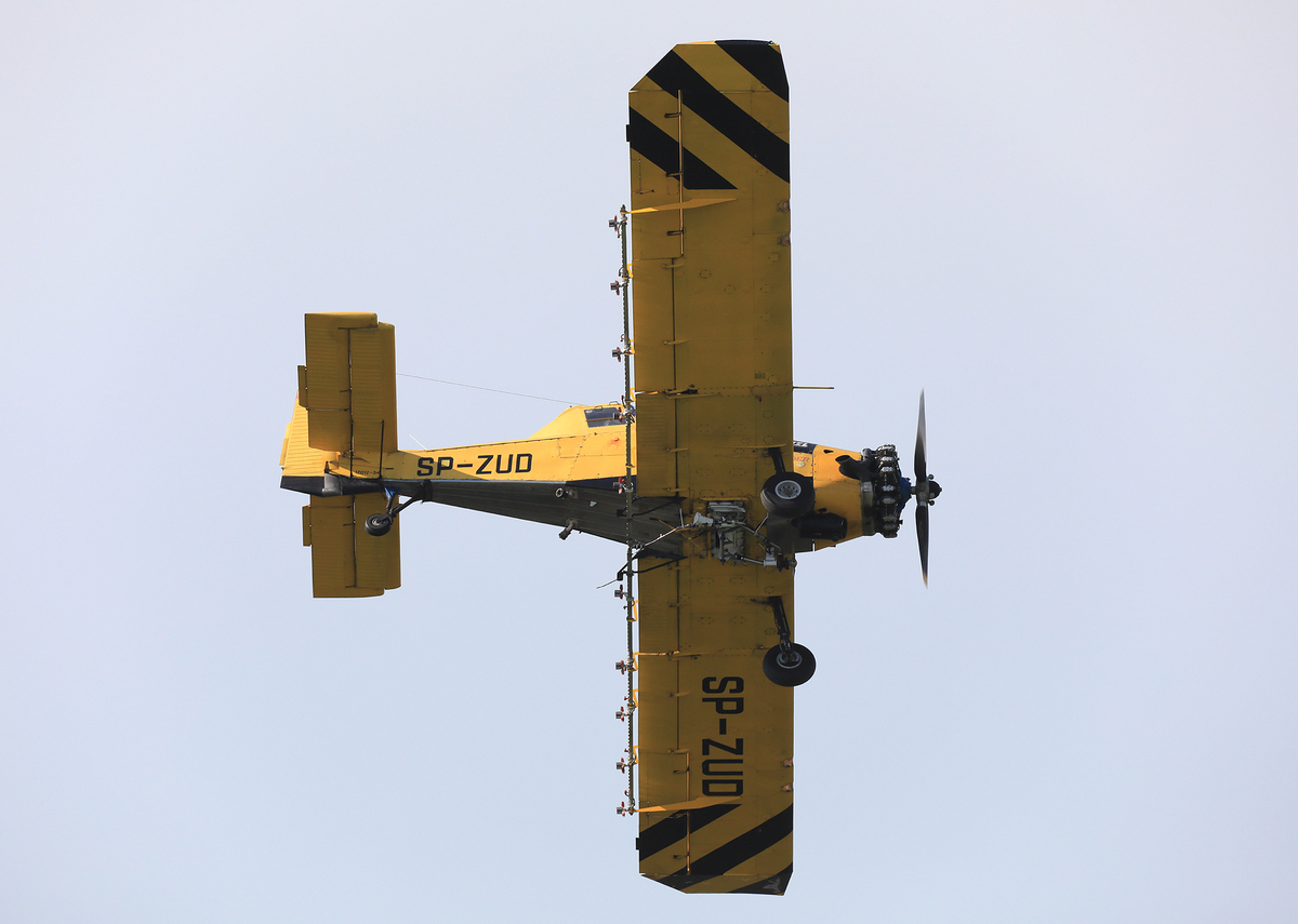 JACL1322.jpg