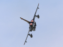 JACL1470.jpg