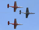 JACL2195.jpg