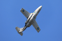 JACL2355.jpg