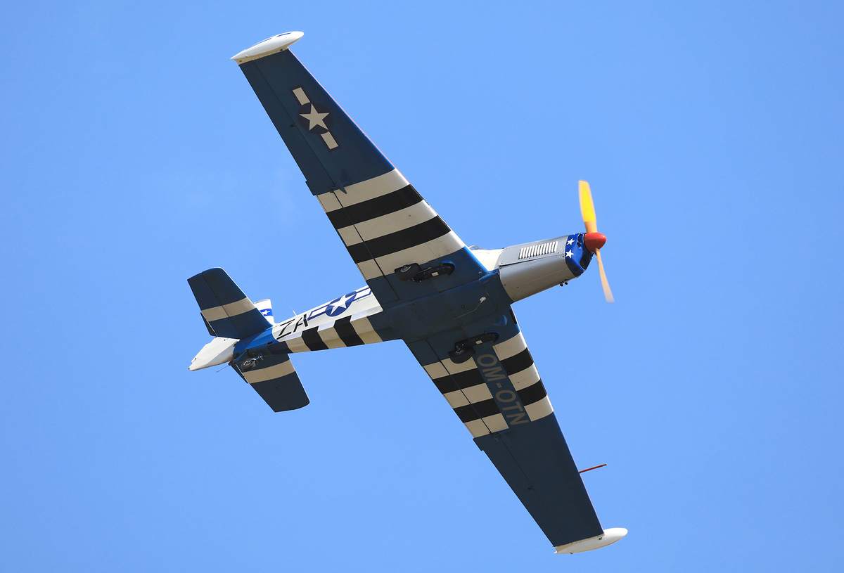 JACL4305.jpg