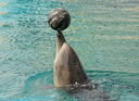 227A0976.jpg