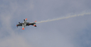 P8304265.jpg
