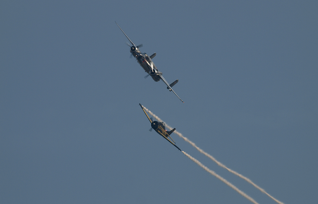 P8260436.jpg