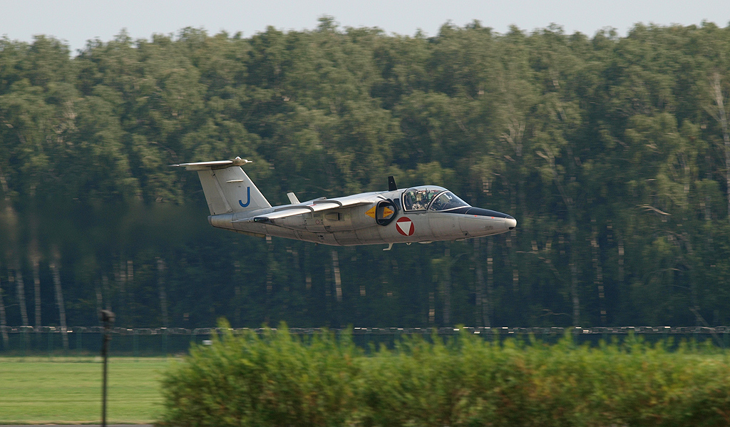 P8242888.jpg