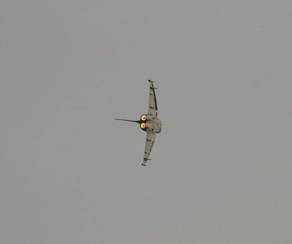 P8243562.jpg