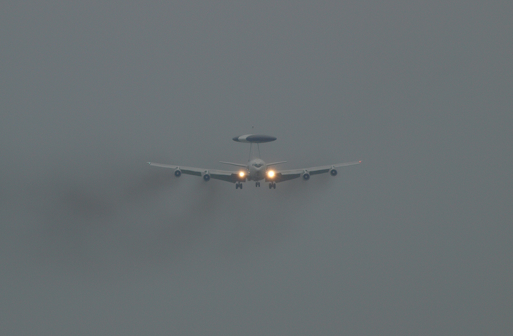 P8263668.jpg