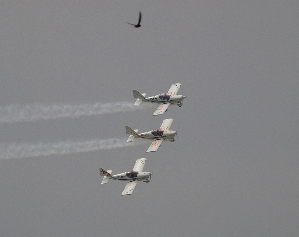 P5283897.jpg