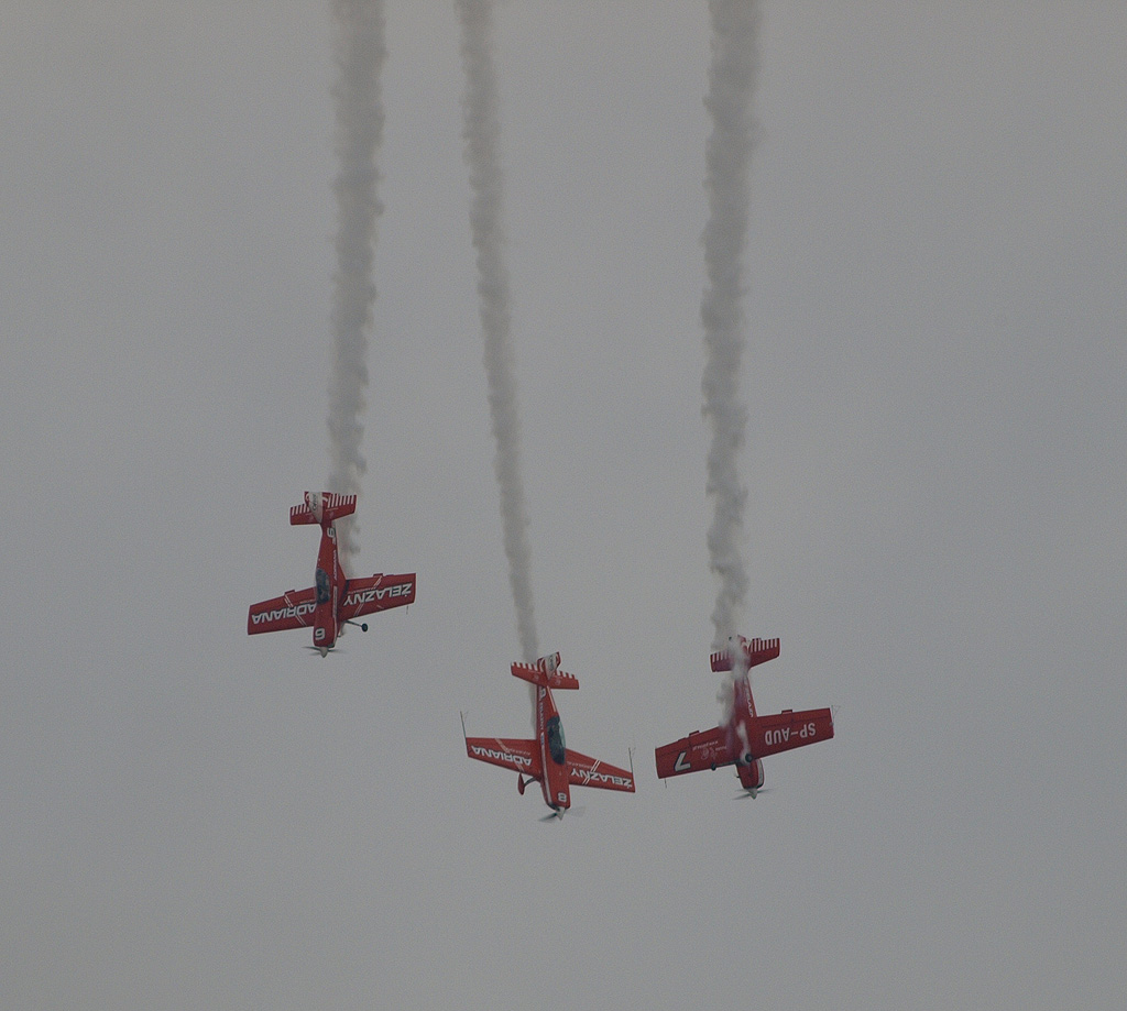 P5284833.jpg