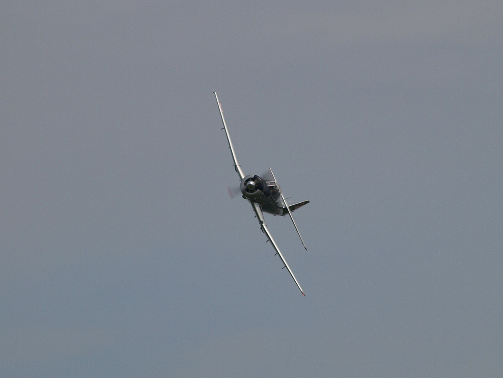 P5284980.jpg