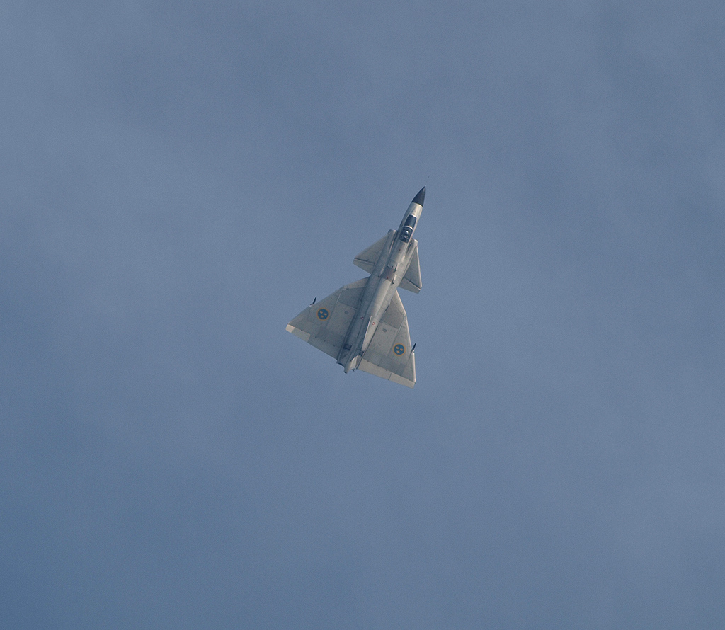 P5285948.jpg