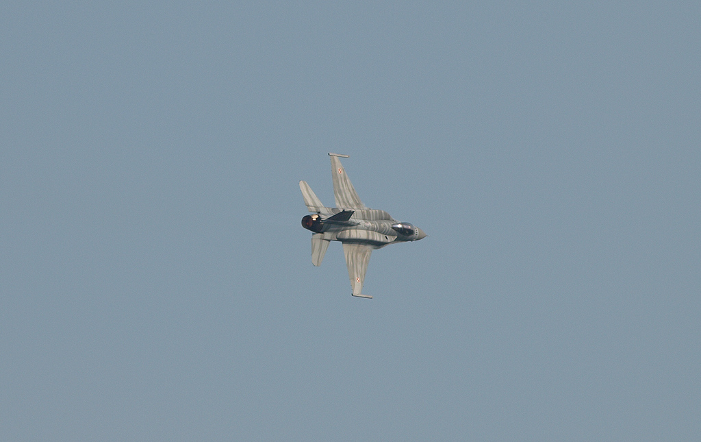 P5286213.jpg