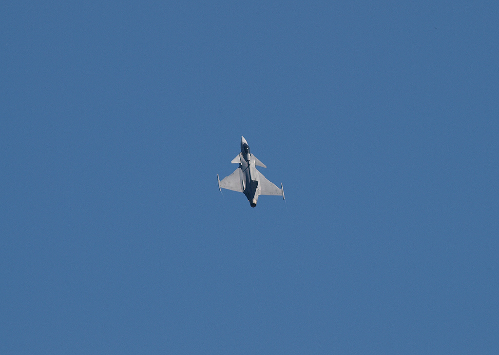 P5208520.jpg
