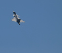 P5208454.jpg